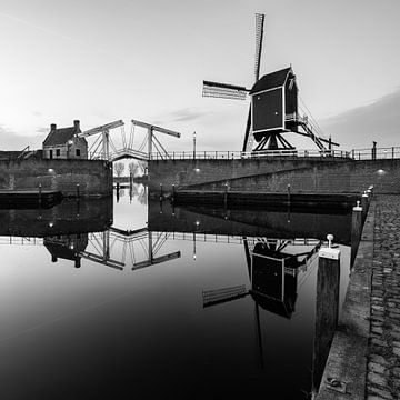 Reflet dans l'eau sur Maikel Brands