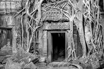 ruïne van Ta Prohm tempel, Angkor Wat tempelcomplex in Cambodja van Jan Fritz