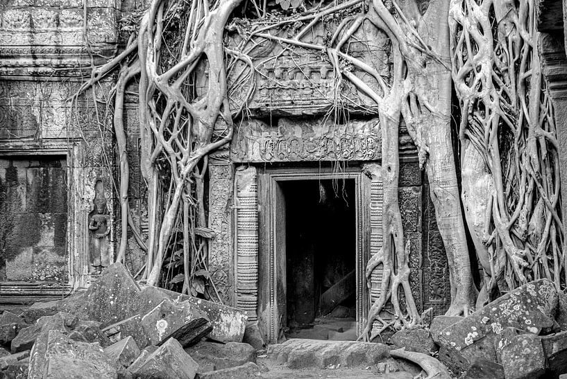 ruines du temple Ta Prohm, complexe de temples d'Angkor Wat au Cambodge par Jan Fritz