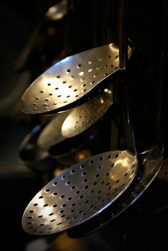 De schuimspaan     The skimmer ( Kleur)