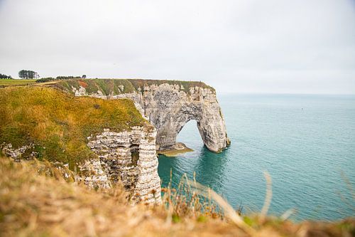 Les falaises de craie et la mer