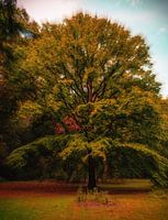 Radiant tree