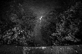 Verloren in der Stille von Christophe Van walleghem