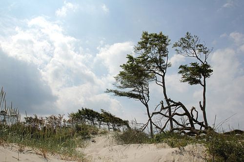 Am Weststrand