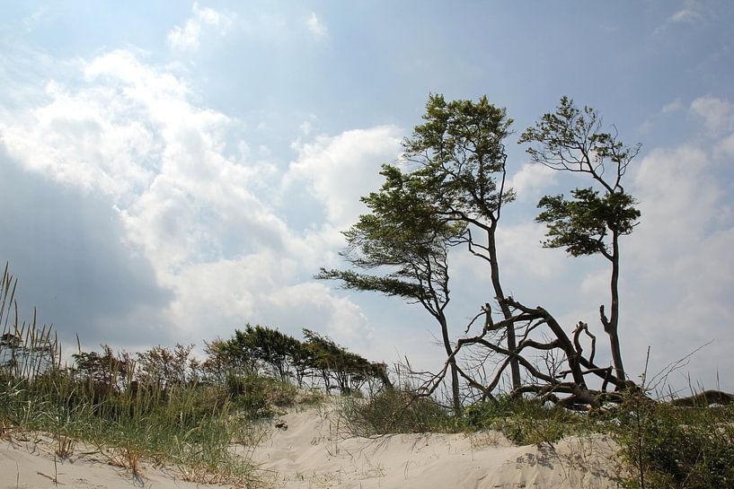 Am Weststrand by Ostsee Bilder