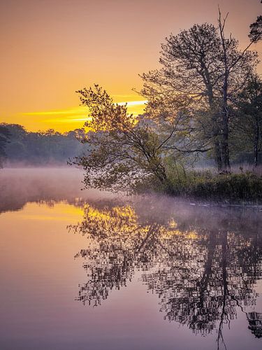Splendeur hollandaise