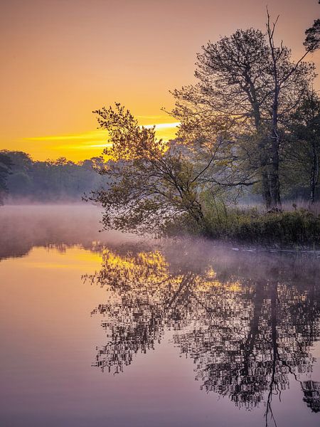Splendeur hollandaise par Robert Nederveen