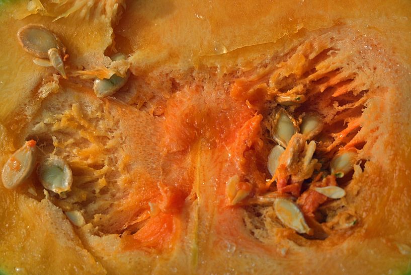 Graines de courge par Edgar Schermaul