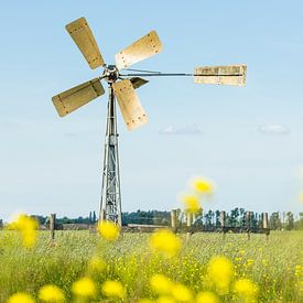 Windmolentje in Weiland van Tony Buijse