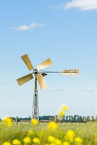 Moulin à vent dans un pré