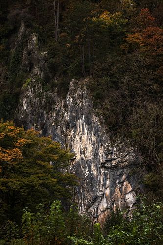 Paroi rocheuse dans les Ardennes belges : un puissant jeu de nature et de texture