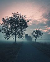 Brouillard matinal dans le Münsterland