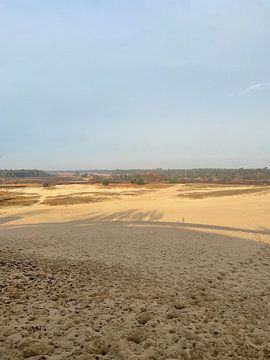 Drunense duinen van Elodi Veldman