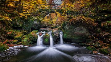 Autumn in the Mullerthal - Shooting Pond by Dieter Meyrl