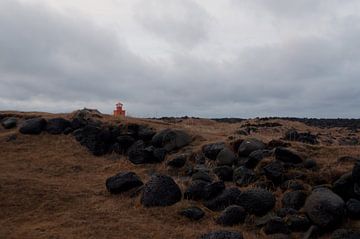 Oranje vuurtoren van Anita van Hengel