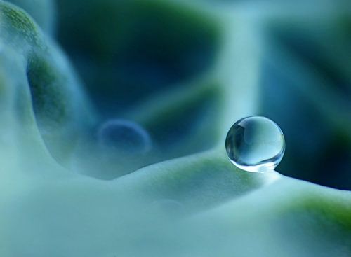 You're the one... (Druppel in petrol)