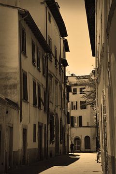 Tuscany Italy Lucca Downtown Sepia