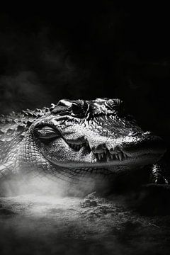 Krokodil van Poster Art Shop