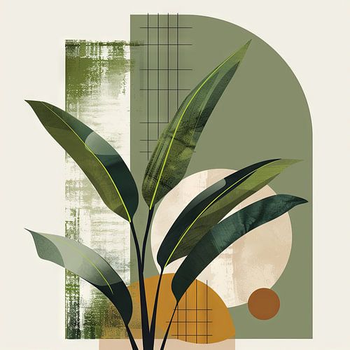 Geometrische planten