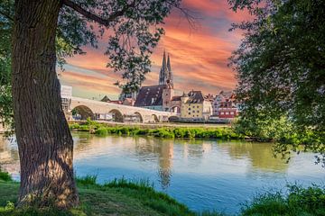 Skyline von Regensburg in Bayern von Animaflora PicsStock
