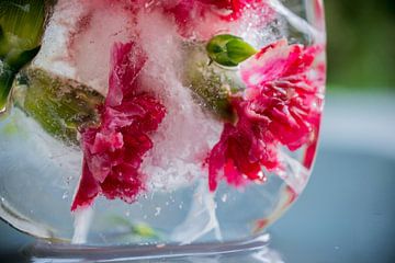 Frozen Flowers van Loes van Dijk