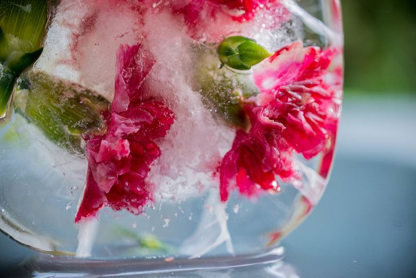 Frozen Flowers van Loes van Dijk