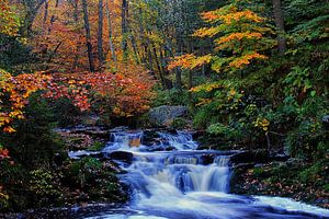 Autumn2017-1