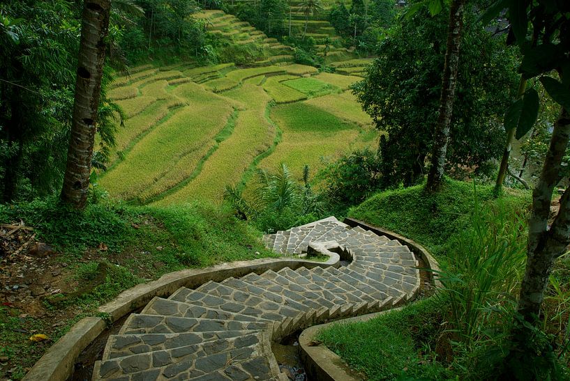 Stairway van Irene Colen
