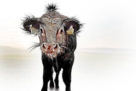 Walter von Peter Roder