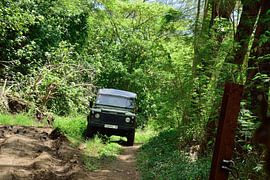 It's a real challenge by Frank's Awesome Travels