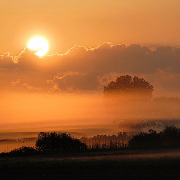 Sunrise above wet meadows and lines of trees and bushes, little bit of morning mist under an orange  van wunderbare Erde