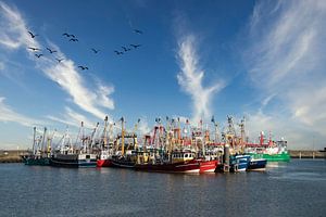 Fischereischiffe im Hafen von Lauwersoog
