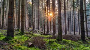 Dezembersonne