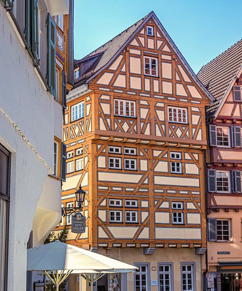 BADEN-WÜRTTEMBERG : ESSLINGEN AM NECKAR van Photoart-Naegele
