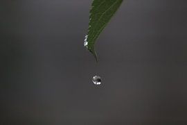 Water door in motion by Clicksby JB