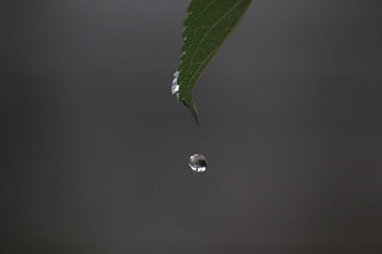 Water door in motion