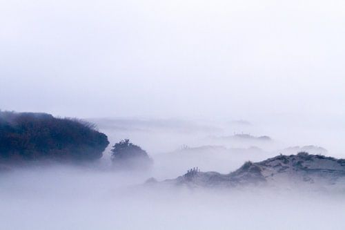 Coepelduynen tussen Katwijk en Noordwijk in de mist