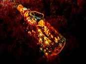 HERFSTCONCEPT: HERFSTDECORATIE van Photoart-Naegele thumbnail