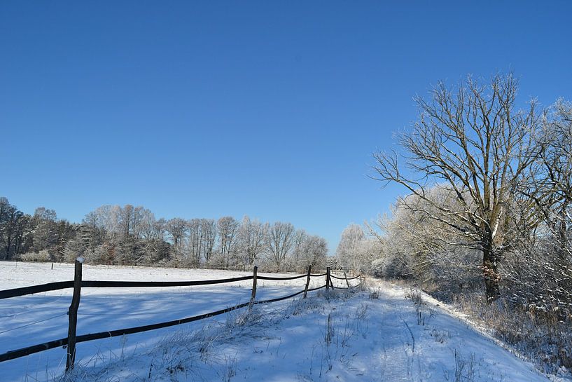 Winterlandschaft von Peter Schmidt