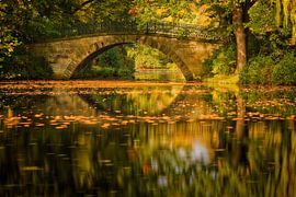 Herbstleuchten | Herfstlicht von Dieter Ludorf