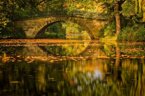 Lumière d'automne | Lumière d'automne