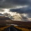 Álftafjörður van Dominiek Cottem