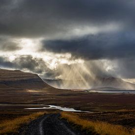 Álftafjörður by Dominiek Cottem