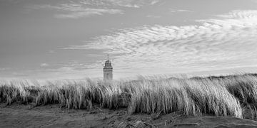 Weiße Kirche in Katwijk, Panorama, sepia von Yanuschka Fotografie | Noordwijk