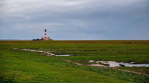 View to the lighthouse Westerheversand