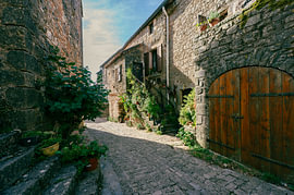 Charming medieval street with plants and stone facades in France by Fechita Florentina Catalina