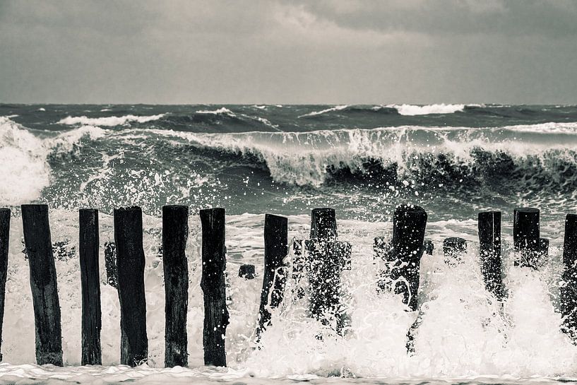 Groynes on the North Sea by Stephan Zaun