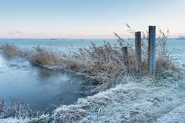 Matin d'hiver dans le polder sur Margreet Riedstra