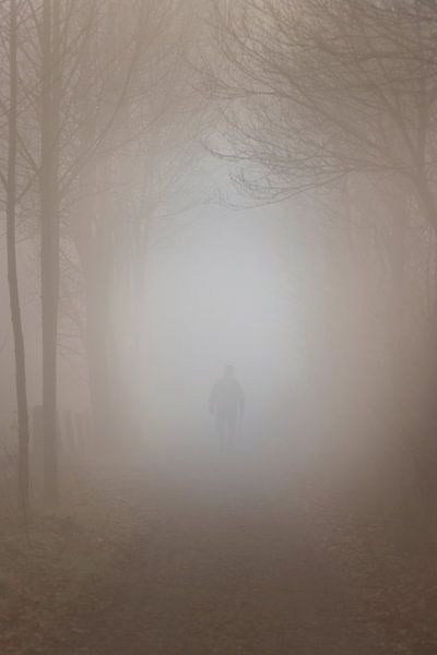 Man in de mist van Anthony De Rouck