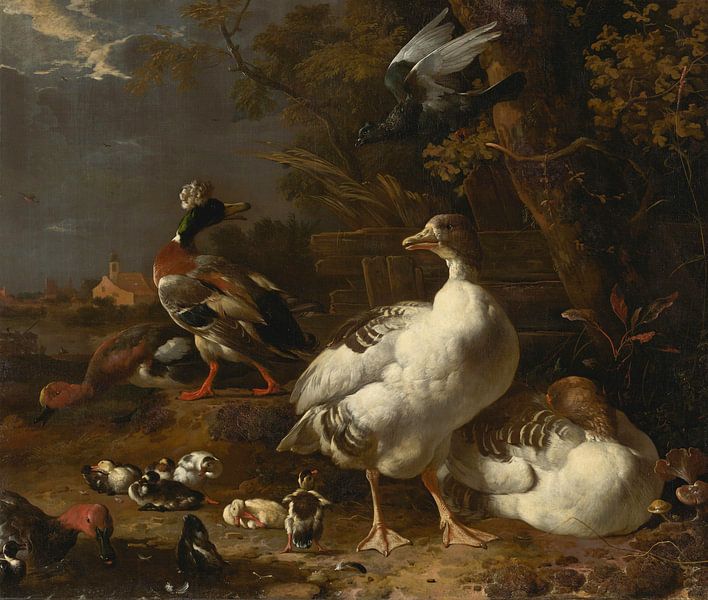 Gänse und Enten, Melchior d 'Hondecoeter von Meisterhafte Meister